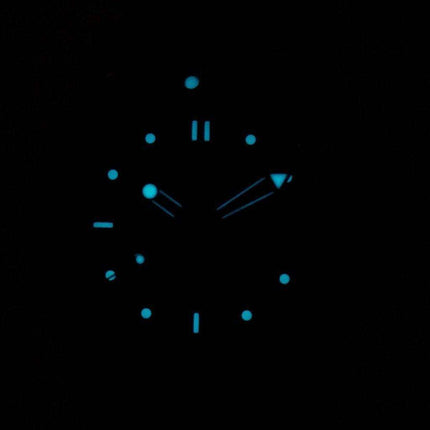 Omega Seamaster Professional Diver 300M Quartz 212.30.28.61.01.001 Orologio da donna