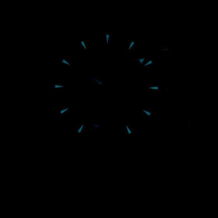 Omega Seamaster Aqua Terra Co-Axial Master Automatic 220.12.41.21.02.002 Orologio da uomo