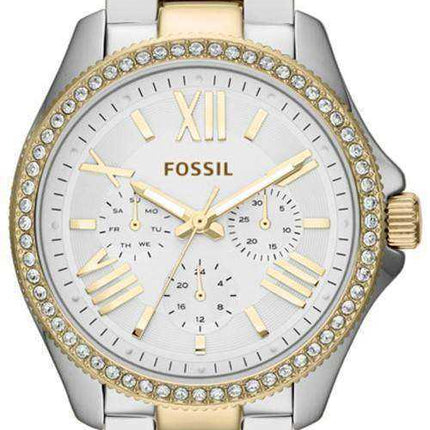 Fossil Cecile Multifunzione Crystal Two Tone AM4543 Orologio da donna