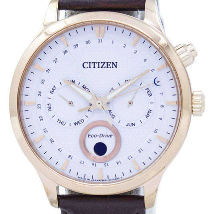 Citizen Eco-Drive Moon Phase AP1052-00A Orologio da uomo realizzato in Giappone