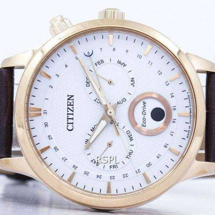 Citizen Eco-Drive Moon Phase AP1052-00A Orologio da uomo realizzato in Giappone