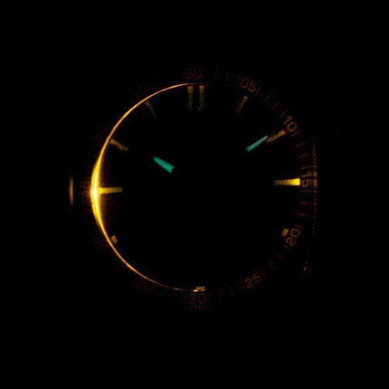 Casio Analog Digital Telememo Illuminator AW-81D-1AVDF AW-81D-1AV - Orologio da uomo