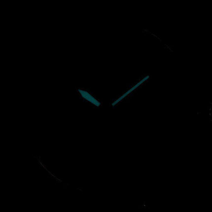 Orologio da uomo Citizen Aviator Eco-Drive Mesh Band AW1364-54A