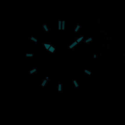 Orologio da uomo Citizen Eco-Drive Diver 200M AW1420-04E