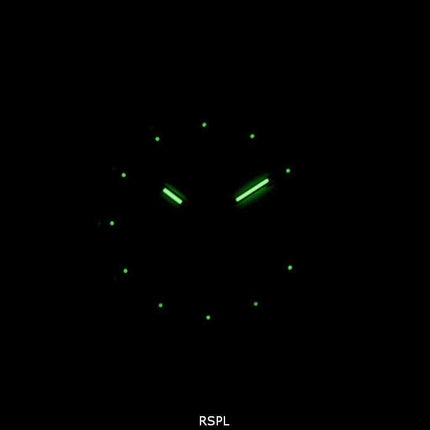 J.Springs di Seiko Automatic 21 Jewels Japan Made BEB513 Orologio da uomo