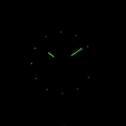 J.Springs di Seiko Automatic 21 Jewels Japan Made BEB550 Orologio da uomo