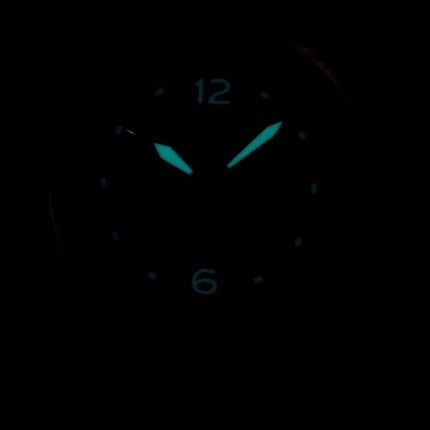 Orologio da uomo Citizen Nighthawk Promaster Eco-Drive Pilot BJ7017-09E