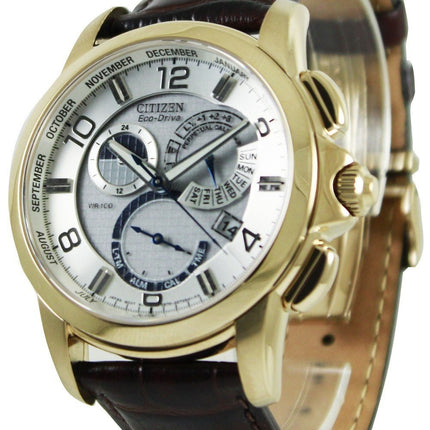 Citizen Eco-Drive Alarm Perpetual Calendar BL8052-00A BL8052