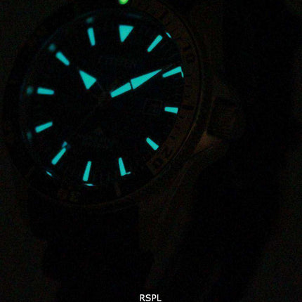 Orologio da uomo Citizen Eco-Drive Professional Divers BN0104-09E