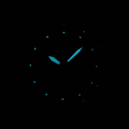 Citizen Promaster Eco-Drive Calendario perpetuo Orologio da uomo 200M BN4045-12X