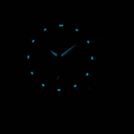 Citizen Eco-Drive BT0080-59A Orologio da uomo analogico realizzato in Giappone