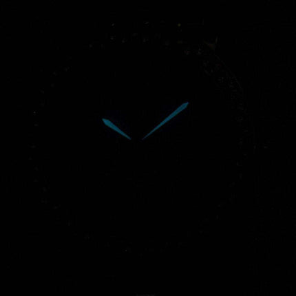 Citizen Eco-Drive Swarovski Crystal Accents EV1016-58A Orologio da donna