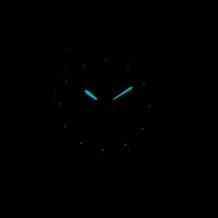 Citizen Eco-Drive EW3144-51A Orologio da donna