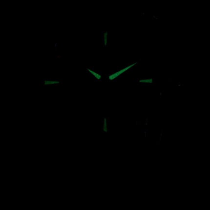 Orologio da uomo Hamilton Ventura Elvis80 Automatic H24555181
