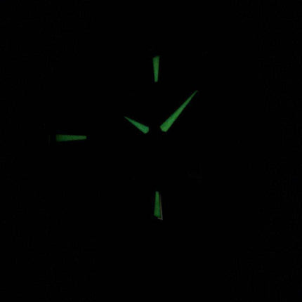 Orologio da uomo Hamilton Ventura Elvis80 Automatic H24585731