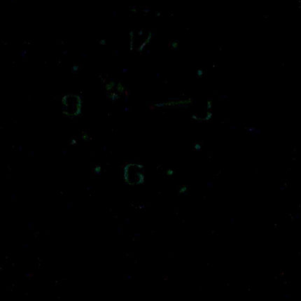 Orologio da bambino 000789 per quarzo extra piccolo ICE per sempre