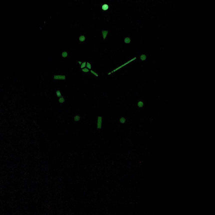 Orologio da uomo automatico analogico 200M Invicta Pro Diver Professional 29177