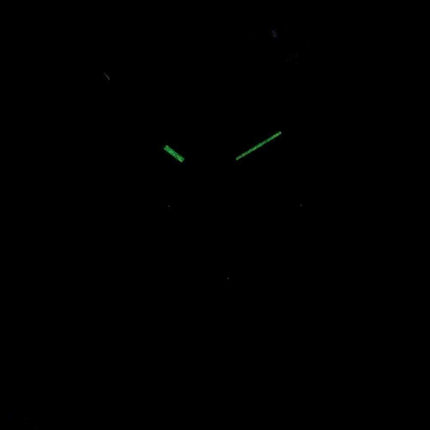 Orologio al quarzo donna Casio Enticer LTP-V300L-2A2 LTPV300L-2A2