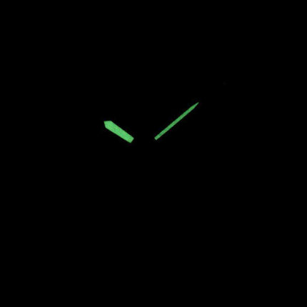 Orologio da uomo Casio analogico al quarzo MW-240-2BV MW240-2BV