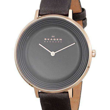 Skagen Ditte Quartz Gray Dial SKW2216 Orologio da donna