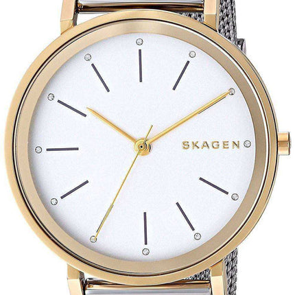 Skagen Hald Quartz SKW2508 Orologio da donna