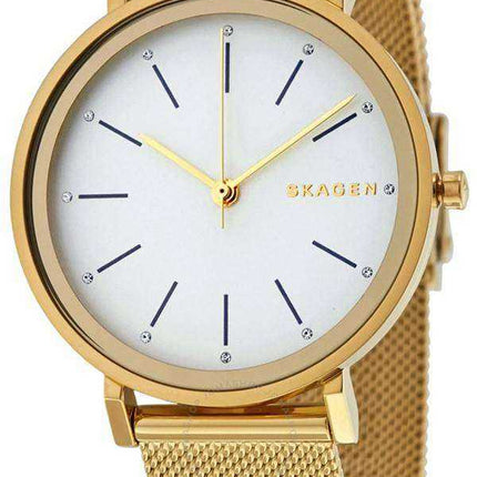 Skagen Hald Quartz SKW2509 Orologio da donna