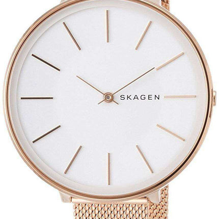 Skagen Karolina Quartz SKW2688 Orologio da donna