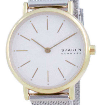 Orologio da donna al quarzo Skagen Signatur in acciaio inossidabile SKW2910