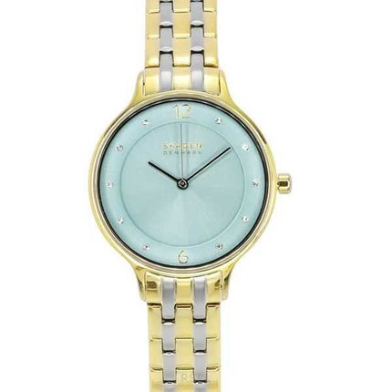 Orologio da donna Skagen Anita Lille Two Tone in acciaio inossidabile con quadrante verde al quarzo SKW3132