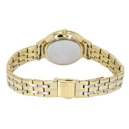 Orologio da donna Skagen Anita Lille Two Tone in acciaio inossidabile con quadrante verde al quarzo SKW3132