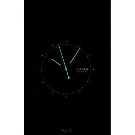 Orologio da uomo Skagen Signatur in acciaio inossidabile con quadrante grigio al quarzo SKW6900