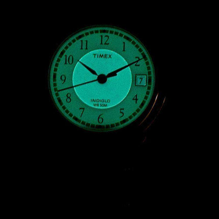 Orologio da donna Timex Classic Indiglo Quartz T29271