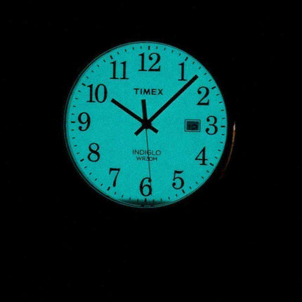 Orologio da uomo Timex Easy Reader Indiglo Quartz TW2P75600