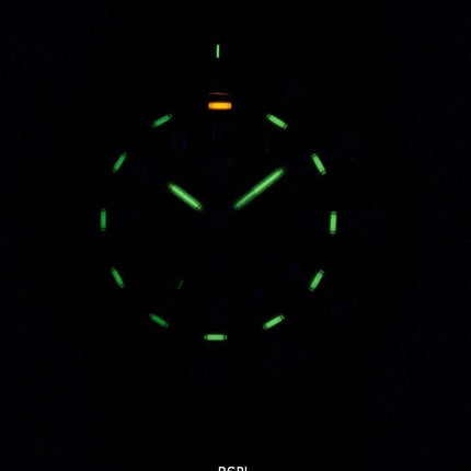Orologio da uomo Luminox Sea Original Navy Seal serie 3000 Swiss Quartz 200M XS.3001